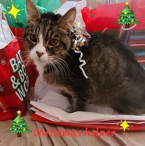 Meet your Posher, Wendy